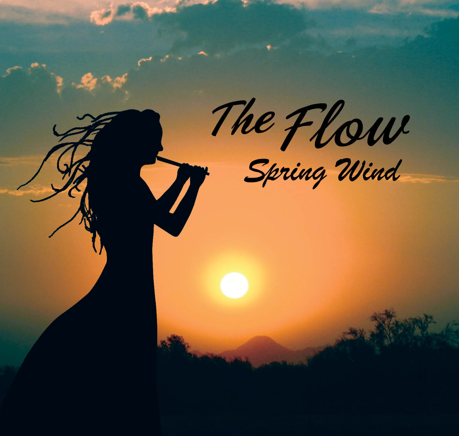 Spring wind front cover